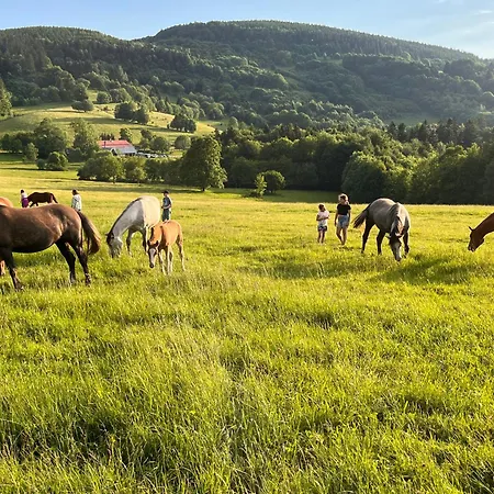 Rancho Panderoza *