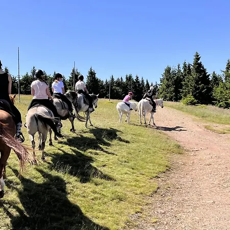 Rancho Panderoza * Duszniki Zdrój