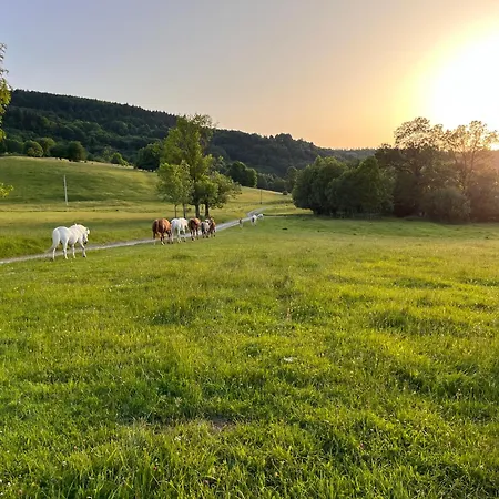 Rancho Panderoza Frühstückspension