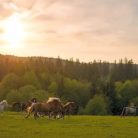 Rancho Panderoza 3*