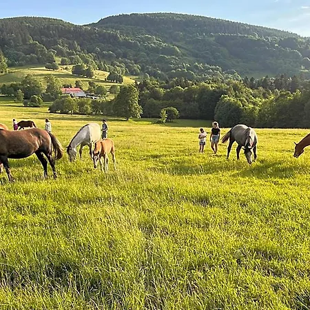Rancho Panderoza 3*