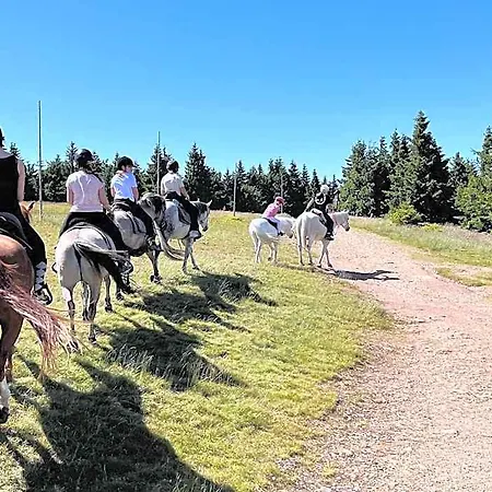 Rancho Panderoza 3*