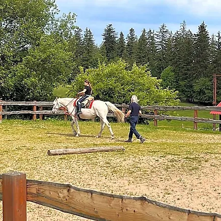 Rancho Panderoza 3*