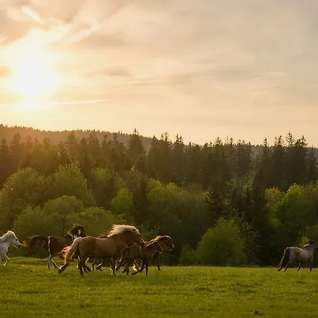 Rancho Panderoza 3*