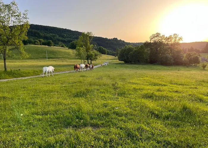 Rancho Panderoza Bed & Breakfast